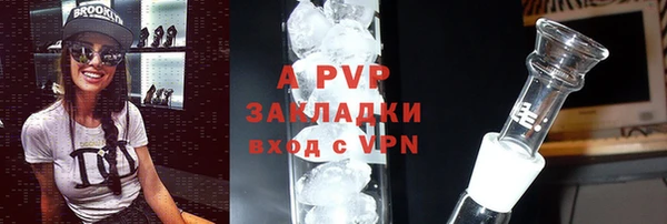 бошки Белокуриха