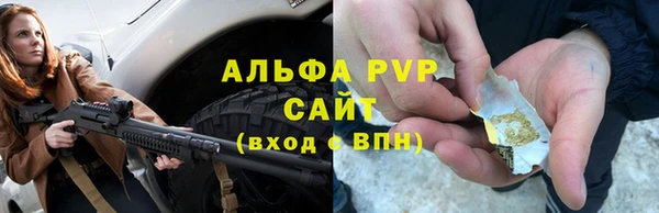 бошки Белокуриха