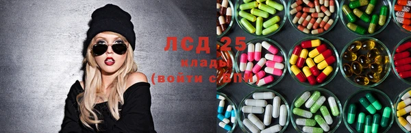 PSILOCYBIN Белоозёрский