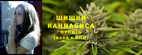 PSILOCYBIN Белоозёрский